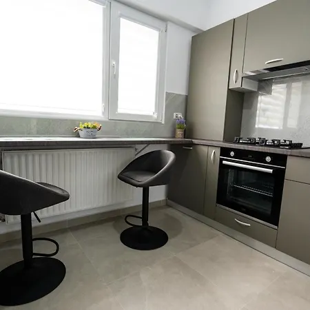 Apartment Comfort 2-room 10 Min To Parliament And Old Town Bucharest