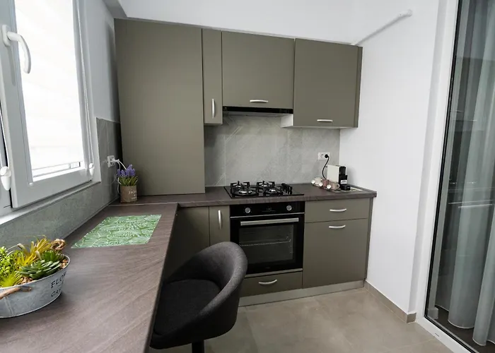 Comfort 2-room 10 Min To Parliament And Old Town 公寓 布加勒斯特